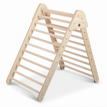 Load image into Gallery viewer, AltoClimberfRameUnvarnished