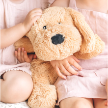 Load image into Gallery viewer, Charlietheweightedpuppy5