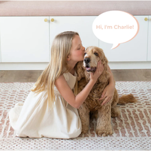 Load image into Gallery viewer, Charlietheweightedpuppy6