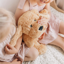 Load image into Gallery viewer, Charlietheweightedpuppy7