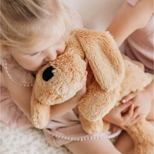 Load image into Gallery viewer, Charlietheweightedpuppy8