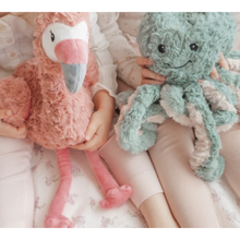 Load image into Gallery viewer, FrancesatheWeighted6