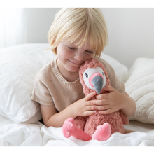 Load image into Gallery viewer, FrancesatheWeightedFlamingo