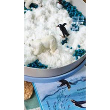 Load image into Gallery viewer, jellystone-designs-arctic-tray-play