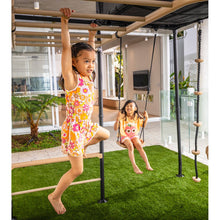 Load image into Gallery viewer, qeust-pro