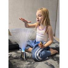 Load image into Gallery viewer, fibre-optic-light