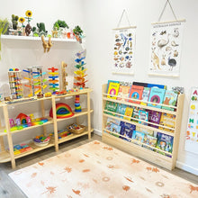 Load image into Gallery viewer, Children's playroom with shelves filled with toys and books, a rug on the floor, and educational posters on the wall.