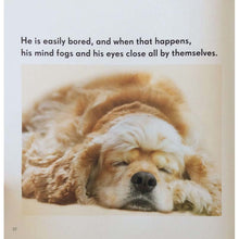 Load image into Gallery viewer, AllDogsHaveADHDBookByKathyHoopman
