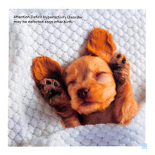 Load image into Gallery viewer, ALL-DOGS-HAVE-ADHD
