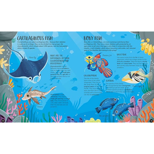 Load image into Gallery viewer, AnimalsUltimateAtlasCards
