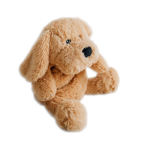 Charlietheweightedpuppy1