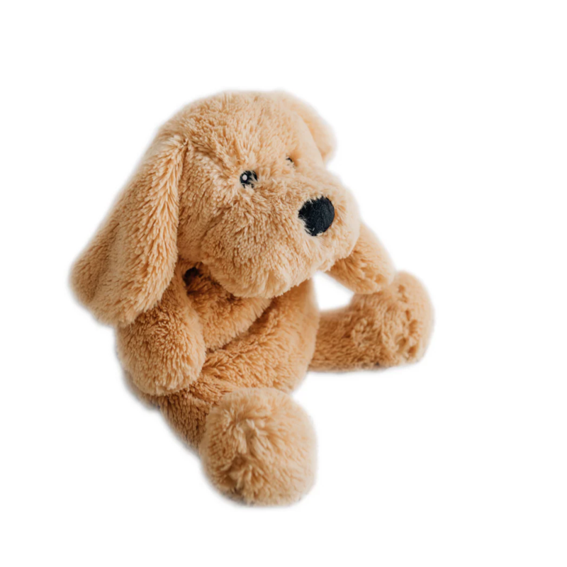 Charlietheweightedpuppytoy