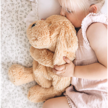 Load image into Gallery viewer, Charlietheweightedpuppytoys
