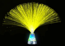 Load image into Gallery viewer, FiberOpticLight2
