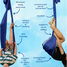 Load image into Gallery viewer, NeuroCalm™ Premium Sensory Swing
