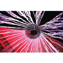 Load image into Gallery viewer, Sensory Fibre Optic Curtain Ring - Calming, 70 cm
