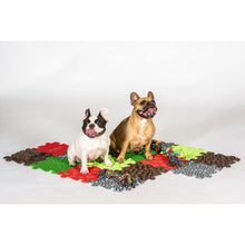 Load image into Gallery viewer, Pets Textured Play Mats | Muffik
