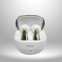 Load image into Gallery viewer, Sensory specialist earphones 
