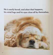 Load image into Gallery viewer, all-dogs-have-adhd-extra
