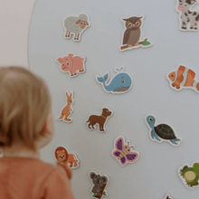 Load image into Gallery viewer, magnetic-playwall
