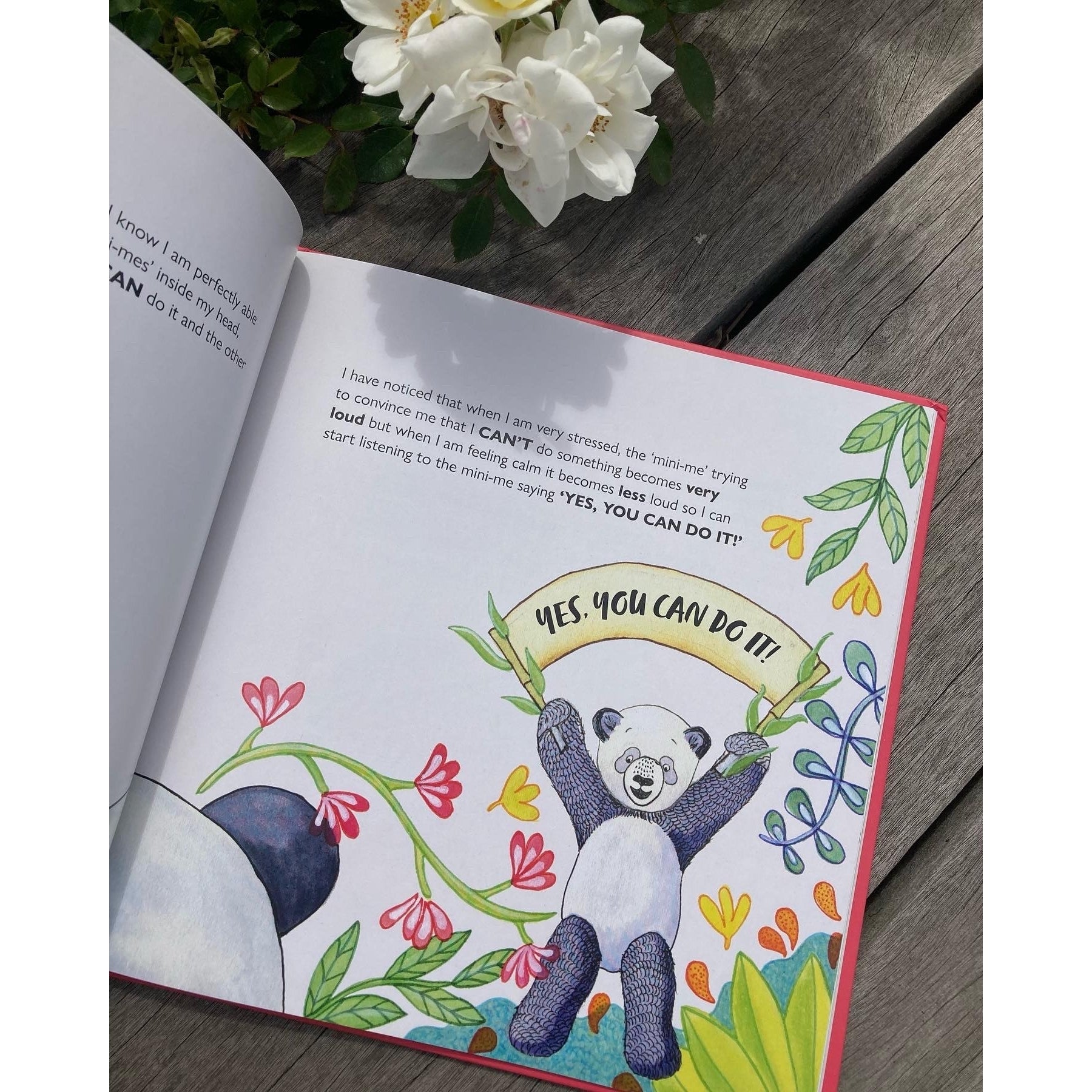 The Panda on PDA Book - Book by Gloria Dura-Vila – The Sensory ...